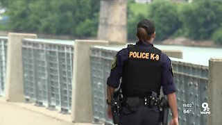 Increased police patrols in Smale Park