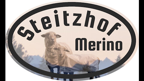 Steitzhof Merinos - 2021 Fleece