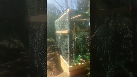 3rd Garden Cage. September/19/2023