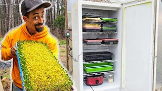 SECRET to MORE FOOD & FASTER | DIY Home to Build a Germination Chamber