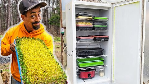 SECRET to MORE FOOD & FASTER | DIY Home to Build a Germination Chamber