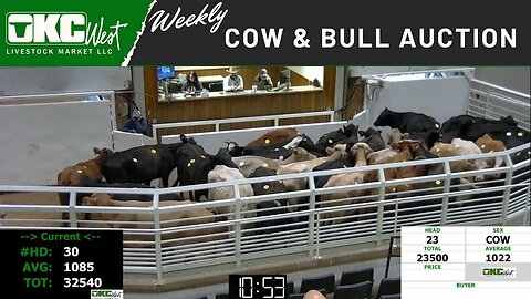 1/2/2023 - OKC West Weekly Cow & Bull Auction