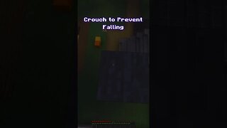 Minecraft Facts - “Chapter 20 - Crouch To Prevent Falling”