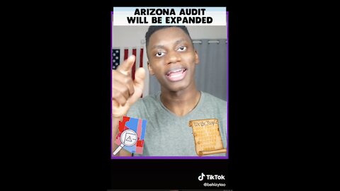 Arizona Election Audit Insider - FUNNY (from TikTok)