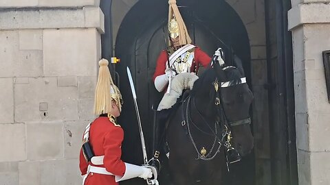 Hote wants to bite the guard #horseguardsparade
