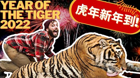 What does the Year of the Tiger mean for 2022?? 🐯 2022的虎年有什麼含意呢?