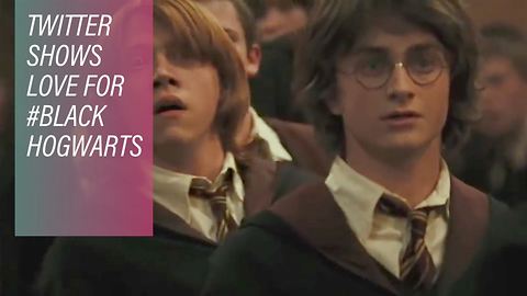 Could Hogwarts get a bit more diverse?