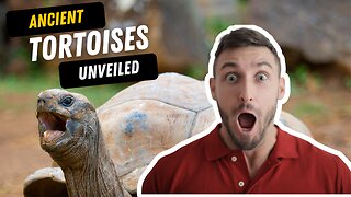 Shocking Discoveries of Ancient Tortoises