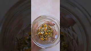 dehydrating Chamomile & Basil🌱#dehydrating #herbs #chamomiletea #homestead #foryou #fyp #gardening