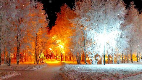 Ambient Music for Deep Sleep & Relaxation | Winter Snowfall with Snow Covered Trees | Peaceful Piano