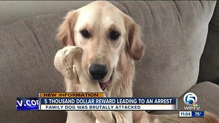 $5,000 reward leading to an arrest of person who attacked family dog