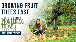 EP: 424 Growing Fruit Trees Fast with Susan Poizner