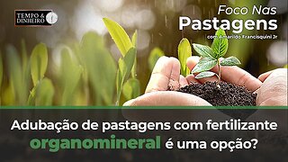 Foco nas Pastagens : Adubação de pastagens com fertilizante organomineral é uma opção?