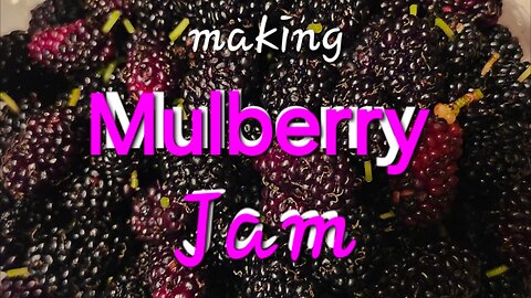 Quick overview of how to make mulberry jam