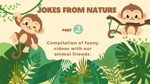 Jokes from nature part 2