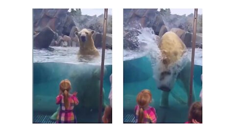 Children enjoying Animals at Zoo