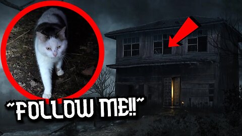 CAT Leads us to ABANDONED HAUNTED HOUSE !! REAL PARANORMAL ACTIVITY !!