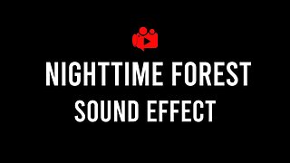 Nighttime Forest Sound Effect FREE