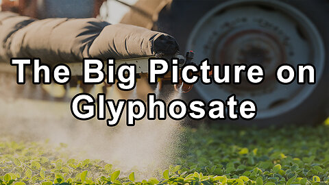 The Big Picture on Glyphosate, the Active Ingredient in the Herbicide Roundup - Stephanie Seneff