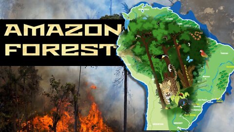 How Long until The Amazon Rainforest is DESTROYED? 2022