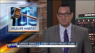 Environmental groups seek to halt juniper removal