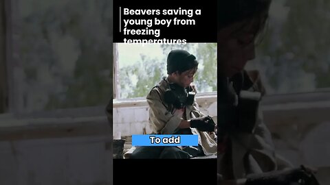 Beavers Saving a Young Boy From Freezing Temperatures