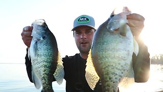 Crappie Fishing for GIANTS in Trees (Lake Fork ep. 6)