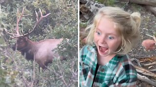 Little Girl Is Already A Pro At Elk Calling