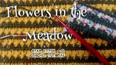 Crochet Stitch Patterns (Episode 2) Flowers in the Meadow, Start Stitch #2 Crochet Tutorial