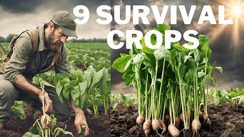 9 Survival Crops Preppers Should Grow To Be Ready For The Apocalypse