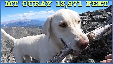 Oatmeal Climbs Mt Ouray 13,971 Feet : Colorado 13er