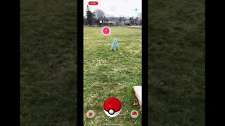 Pokémon Go AR+ Glitches?