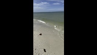 Tigertail Beach Marco Island, FL #FYP #TigertailBeach #MarcoIsland #ILiveWhereYouVacation #4K