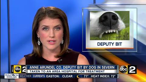 Anne Arundel Co. Deputy bit by dog in Severn