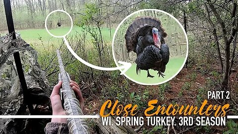 Wisconsin Turkey Hunting 2023 {PART 2} - WOULD YOU HAVE SHOT?