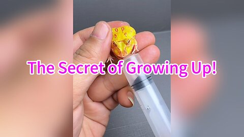 The Secret of Growing Up！