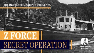 Z Force Secret Operation