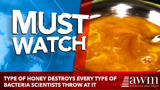 Type Of Honey Destroys Every Type Of Bacteria Scientists Throw At It, Even Deadly Super Bugs