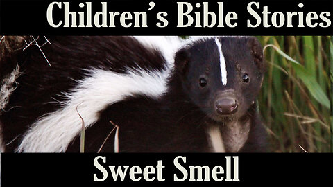 Children's Bible Stories-Sweet Smell