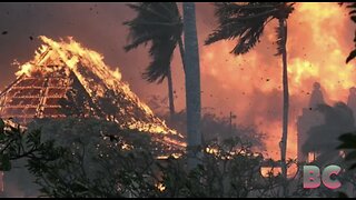 Hawaii wildfires cause 36 deaths, over 200 structures impacted