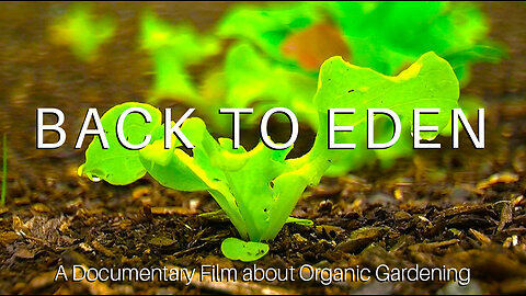 Documentary: Back to Eden - Organic Gardening to Simplify and Maximize Productivity