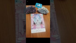 #shorts #cardoftheday #tarot #oracle #workyourlight #inner #temple #tarotreadersofinstagram