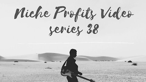 Niche Profits Video Series 38