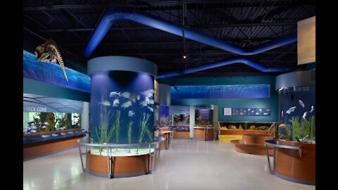 South Florida Science Center and Aquarium to host 'Hometown Heroes' for the first time