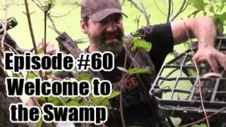 Episode #60 - Welcome to the Swamp