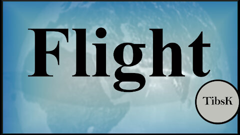 Flight - Aviation and History