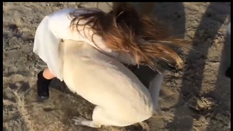 Dog crash with a girl funny moment 🤣