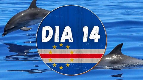 DIA 14