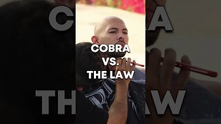 Cobra Vs The Law