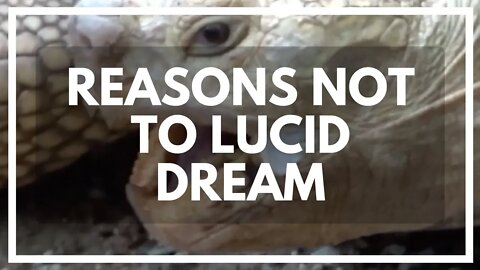 Long List Of Reasons NOT To Lucid Dream